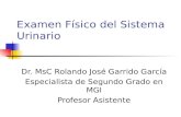 Examen Físico del Sistema Urinario Dr. MsC Rolando José Garrido García Especialista de Segundo Grado en MGI Profesor Asistente.