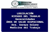 LEGISLACIÓN LEGISLACIÓN RIESGOS DEL TRABAJO RIESGOS DEL TRABAJOGeneralidades ÁREA DE SALUD OCUPACIONAL Dra. Soraya Solano Medicina del Trabajo.