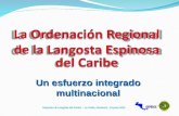Simposio de Langosta del Caribe – La Ceiba, Honduras, 19 junio 2010 Un esfuerzo integrado multinacional.