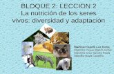 BLOQUE 2: LECCION 2 La nutrición de los seres vivos: diversidad y adaptación Martínez Duarte Luz Elena Martínez Yavuy Blanca Ixchel Martínez Cruz Sandra.