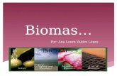 Biomas… Por: Ana Laura Valdez López.  Un bioma (del griego «bios», vida), también llamado paisaje bioclimático o área biótica (y que no debe confundirse.