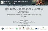 -s Bosques, Gobernanza y Cambio Climático: Apuestas estratégicas nacionales sobre REDD+ Andy White Diálogo Regional Mesoamericano San Salvador 8 Septiembre.