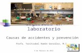 9 de febrero de 2013 Seguridad en laboratorio Causas de accidentes y prevención Profa. Yaritzabel Román González, M.S.