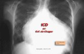 ICD en Enf. de Chagas Dr M.Rondón HUC Dr M.Rondón HUC Maracaibo : 26-27.11.09.