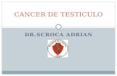 DR.SCROCA ADRIAN CANCER DE TESTICULO. EPIDEMIOLOGIA Tumor sólido + común del adulto joven (20 a 35 años). 3% de los tm. genitourinarios. Incidencia del.