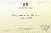Programación Básica con NQC Patricio A. Castillo Pizarro 18/08/2007.