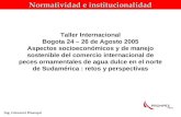 Normatividad e institucionalidad Ing. Giovanni Huanqui Taller Internacional Bogota 24 – 26 de Agosto 2005 Aspectos socioeconómicos y de manejo sostenible.