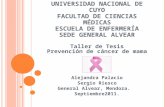 UNIVERSIDAD NACIONAL DE CUYO F ACULTAD DE C IENCIAS M ÉDICAS E SCUELA DE E NFERMERÍA S EDE G ENERAL A LVEAR Taller de Tesis Prevención de cáncer de mama.