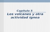 Capítulo 5 Los volcanes y otra actividad ígnea. Naturaleza de las erupciones volcánicas Las características del magma determinan la «violencia» o la «falta.
