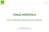 CHILE AGRICOLA Una mirada de la agricultura por regiones Departamento de Estudios SOCIEDAD NACIONAL DE AGRICULTURA.