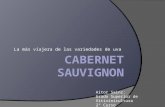 La más viajera de las variedades de uva Aitor Sainz: Grado Superior de Vitivinicultura 2º Curso.