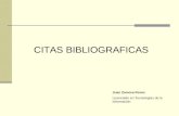 CITAS BIBLIOGRAFICAS Juan Zamora Romo Licenciado en Tecnologías de la Información.