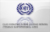 C123 SOBRE LA EDAD MÍNIMA (TRABAJO SUBTERRÁNEO)  La Conferencia General de la Organización Internacional del Trabajo:  Convocada en Ginebra por el Consejo.