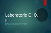 Laboratorio Q. O. III BR. FAYVER MANUEL DE LEÓN MAYORGA.