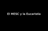 El MESC y la Eucaristía. ministerios La palabra ministerio proviene del latín “ministerium”, que significa servicio “minister” (ministro), “ministrare”