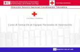 Federación Internacional de Sociedades de la Cruz Roja y de la Media Luna Roja Dirección Socorro Nacional Coordinación Telemática TELEMATICA / DSN / NIT´s.