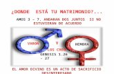 AMOS 3 – 7. ANDARAN DOS JUNTOS SI NO ESTUVIERAN DE ACUERDO VARON Y HEMBRA LOS CREO GENESIS 1.26 - 27.