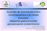 Acuerdo de Asociación entre Centroamérica y la Unión Europea: Impactos para el sector agropecuario costarricense Gloria Abraham Peralta Ministra de Agricultura.