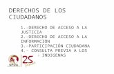 1.-DERECHO DE ACCESO A LA JUSTICIA 2.-DERECHO DE ACCESO A LA INFORMACIÓN 3.-PARTICIPACIÓN CIUDADANA 4.- CONSULTA PREVIA A LOS PUEBLOS INDIGENAS DERECHOS.