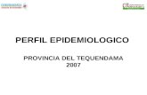 PERFIL EPIDEMIOLOGICO PROVINCIA DEL TEQUENDAMA 2007.