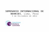 SEMINARIO INTERNACIONAL DE BERRIES, Lima, Perú 5 de Diciembre de 2012.
