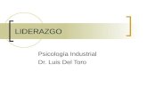 LIDERAZGO Psicología Industrial Dr. Luis Del Toro.