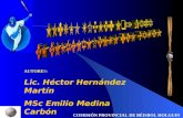 AUTORES: Lic. H©ctor Hernndez Mart­n MSc Emilio Medina Carb³n COMISI“N PROVINCIAL DE B‰ISBOL HOLGUIN