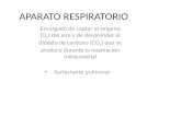 APARATO RESPIRATORIO Encargado de captar el oxígeno (O 2 ) del aire y de desprender el dióxido de carbono (CO 2 ) que se produce durante la respiración.