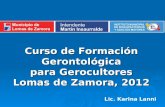 Curso de Formación Gerontológica para Gerocultores Lomas de Zamora, 2012 Lic. Karina Lanni.