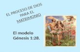 EL PROCESO DE DIOS PARA EL MATRIMONIO El modelo Génesis 1:28.