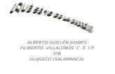 ALBERTO GUILLÉN JUANES FILIBERTO VILLALOBOS C. E. I.P. 5ºB GUIJUELO (SALAMANCA)
