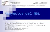 Proyectos del MDL Ing. Miguel Ángel Cervantes Sánchez Director General Adjunto para Proyectos de Cambio Climático Subsecretaría de Planeación y Política.