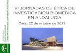 VI JORNADAS DE ÉTICA DE INVESTIGACIÓN BIOMÉDICA EN ANDALUCÍA Cádiz 22 de octubre de 2013.