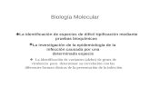 Biología Molecular  La identificación de especies de difícil tipificación mediante pruebas bioquímicas  La investigación de la epidemiología de la infección.