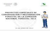 PROYECTOS ESPECIALES DE CONSERVACIÓN Y RESTAURACIÓN FORESTAL DE LA COMISIÓN NACIONAL FORESTAL 2013 24 DE JUNIO DE 2013.