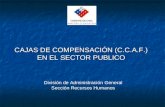 CAJAS DE COMPENSACIÓN (C.C.A.F.) EN EL SECTOR PUBLICO División de Administración General Sección Recursos Humanos.
