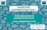 DERECHO ADMINISTRATIVO I Presentado por Mgtr. Ilka Herrera H. PROCEDIMIENTO ADMINISTRATIVO (VÍA GUBERNATIVA)