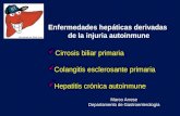 Enfermedades hepáticas derivadas de la injuria autoinmune 3 Cirrosis biliar primaria 3Colangitis esclerosante primaria 3Hepatitis crónica autoinmune Marco.
