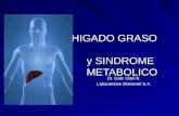 HIGADO GRASO y SINDROME METABOLICO Dr. Galo Viteri R. Laboratorios BioGenet S.A.