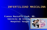 INFERTILIDAD MASCULINA Franzo Marruffo Cook, MD. Servicio de Urología Hospital Vargas.