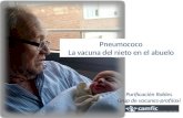 Pneumococo La vacuna del nieto en el abuelo Purificación Robles Grup de vacunes-profilaxi.