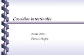 Coccidios intestinales Junio 2001 Junio 2001 Parasitología Parasitología.
