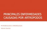 PRINCIPALES ENFERMEDADES CAUSADAS POR ARTROPODOS MICROBIOLOGIA E INMUNOLOGIA Valeria Gaxiola.