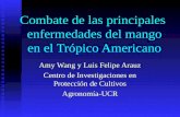 Combate de las principales enfermedades del mango en el Trópico Americano Amy Wang y Luis Felipe Arauz Centro de Investigaciones en Protección de Cultivos.