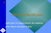 Filtro de Partículas Aplicado al seguimiento de objetos Jose Maria Buades Rubio.