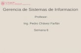 Profesor: Ing. Pedro Chávez Farfán Semana 6 Gerencia de Sistemas de Informacion.