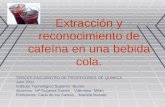 Extracción y reconocimiento de cafeína en una bebida cola. TERCER ENCUENTRO DE PROFESORES DE QUIMICA Julio 2011 Instituto Tecnológico Superior Buceo Alumnos: