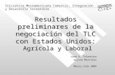 Resultados preliminares de la negociación del TLC con Estados Unidos: Agrícola y Laboral José A. Tolentino Gerson Martínez Marzo,11de 2004 Iniciativa Mesoamericana.