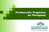 Producción Orgánica en Paraguay. Antecedentes El desarrollo de la producción orgánica a nivel comercial en el Paraguay se inicia en el período agrícola.