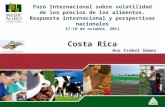 Foro Internacional sobre volatilidad de los precios de los alimentos. Respuesta internacional y perspectivas nacionales 17-18 de octubre, 2011 Costa Rica.